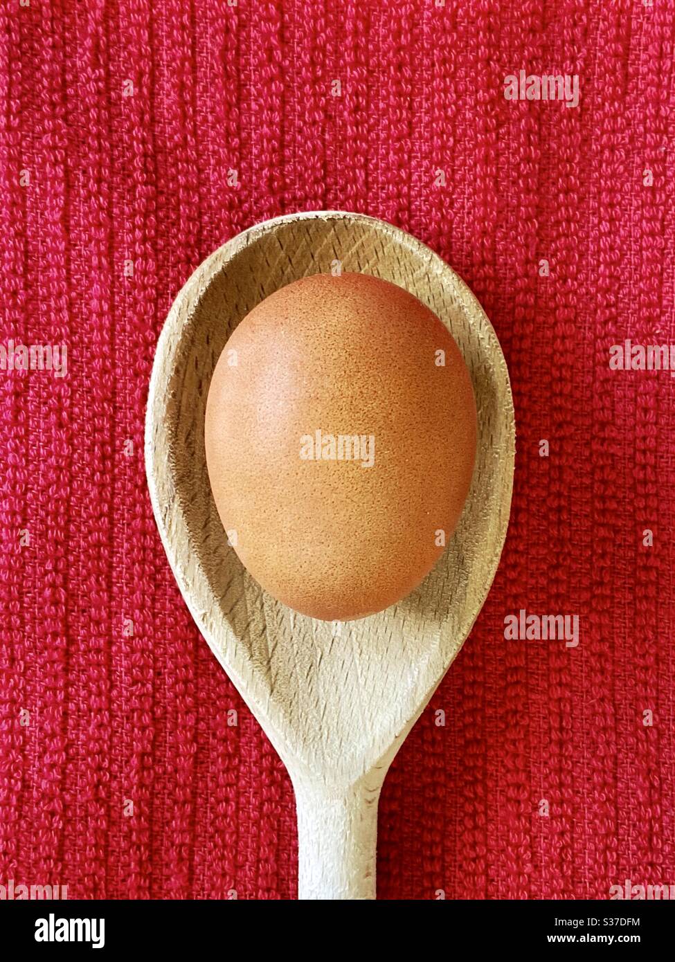 Closeup view of an organic free range egg on a wooden spoon agains a red tea towel on the kitchen counter. - Smartphone Captured Stock Image