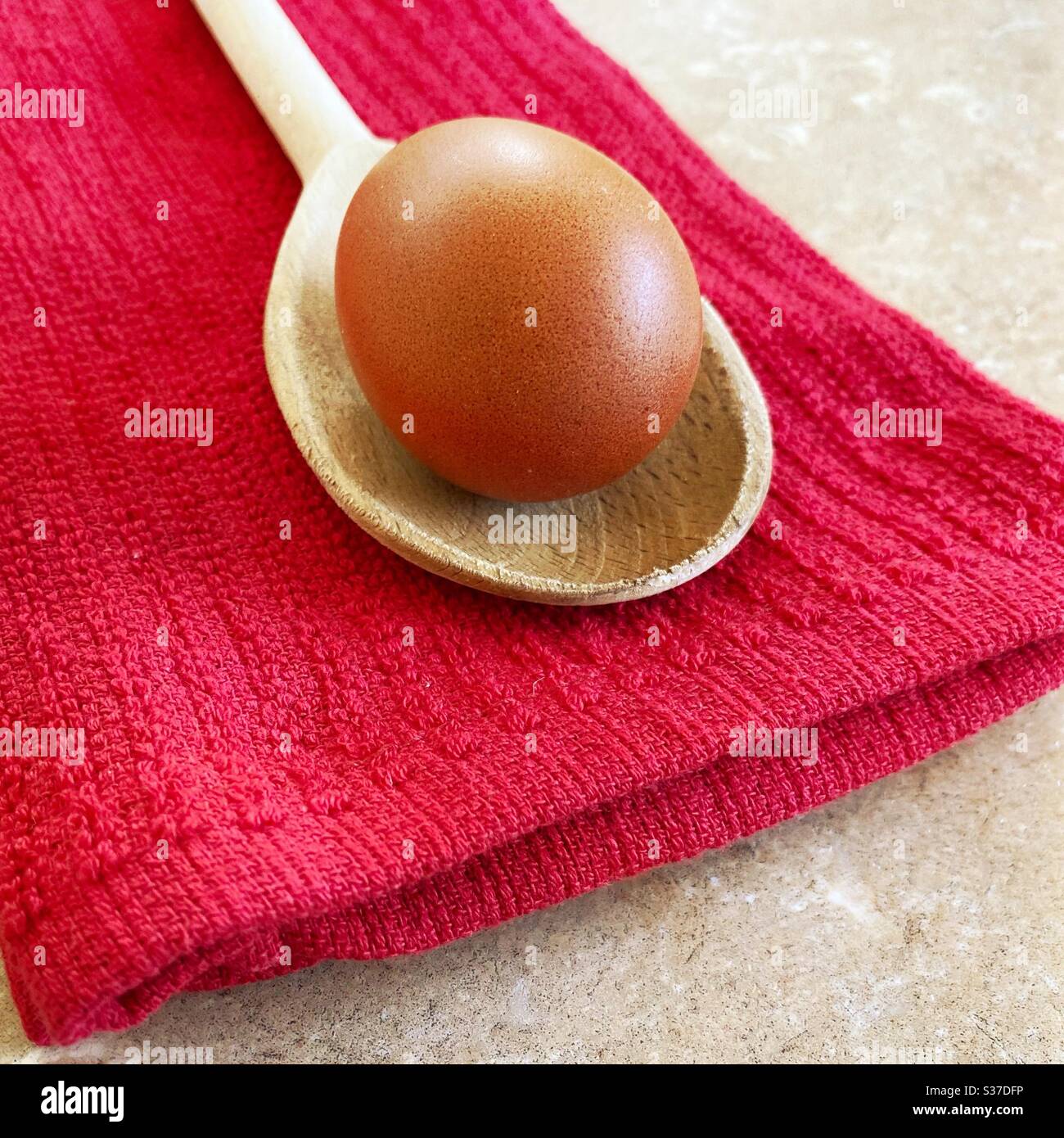 Closeup view of an organic free range egg on a wooden spoon agains a red tea towel on the kitchen counter. - Smartphone Captured Stock Image