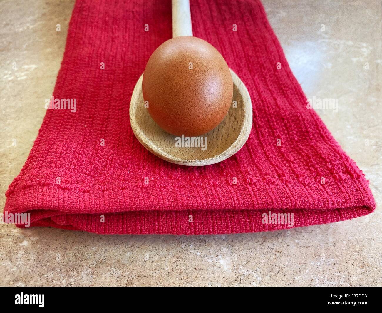 Closeup view of an organic free range egg on a wooden spoon agains a red tea towel on the kitchen counter. - Smartphone Captured Stock Image