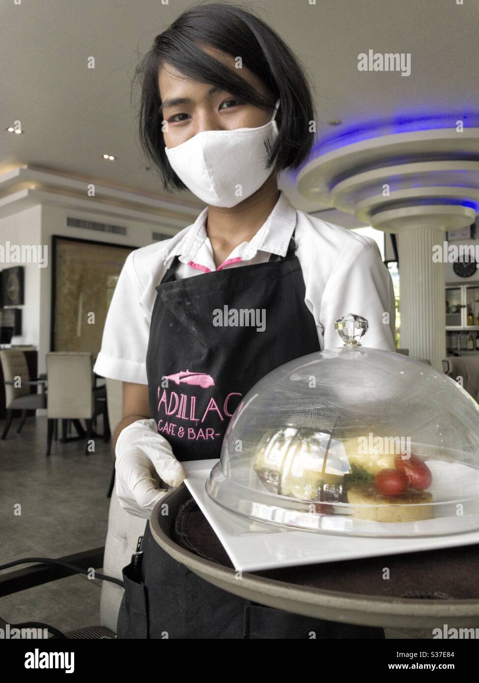 Restaurant waitress serving food with COVID 19 and coronavirus awareness and safety by wearing face mask and latex gloves with food served on a glass covered plate - Smartphone Captured Stock Image