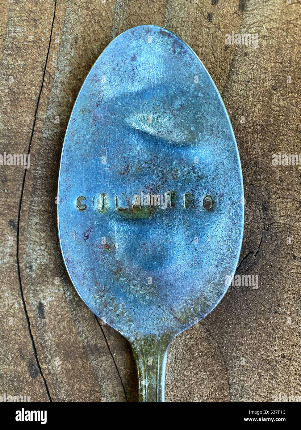 Old spoon as garden maker - cilantro - Smartphone Captured Stock Image