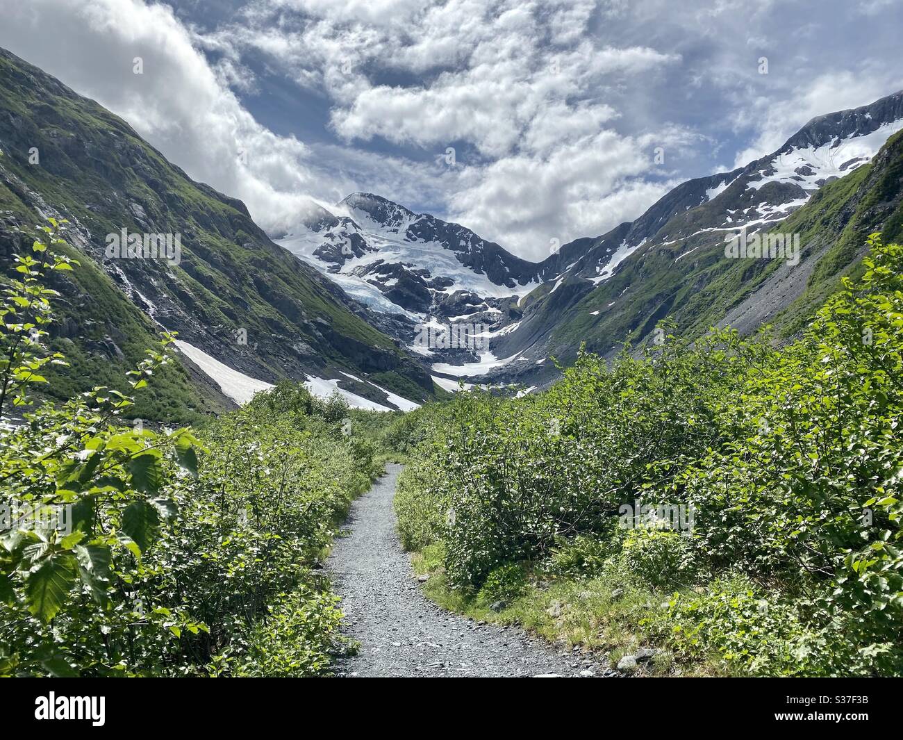 Byron glacier trail hi-res stock photography and images - Alamy