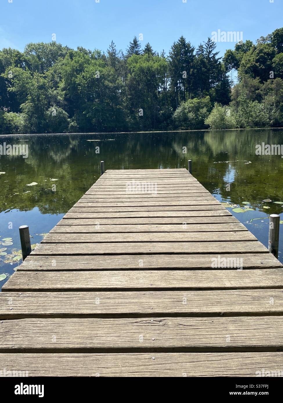 Wooden dock at lake surrounded by nature Stock Photo