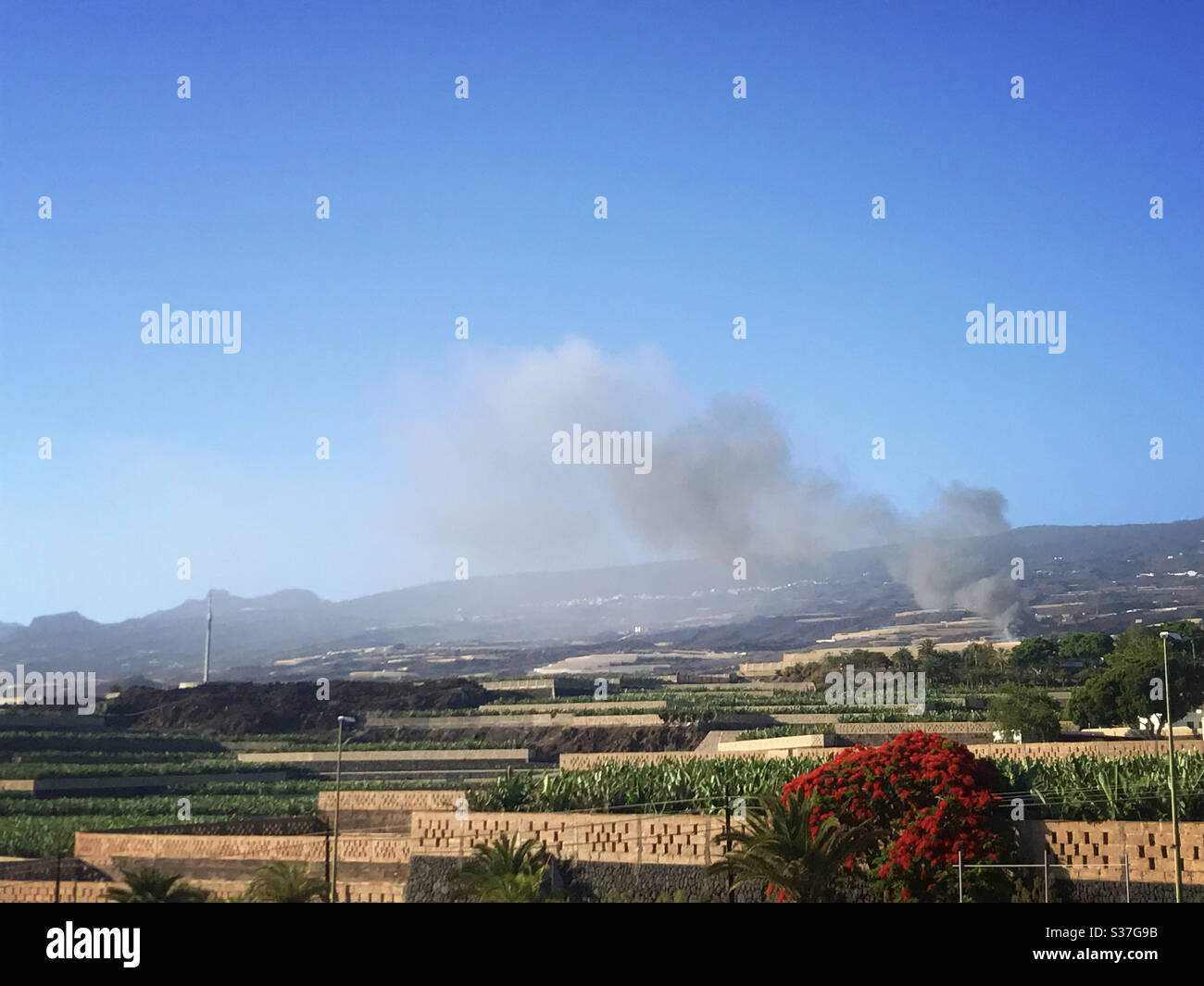 Smoke from a fire drifts over banana plantations in the hillsides of Guia de Isora Tenerife Canary Islands Spain - Smartphone Captured Stock Image