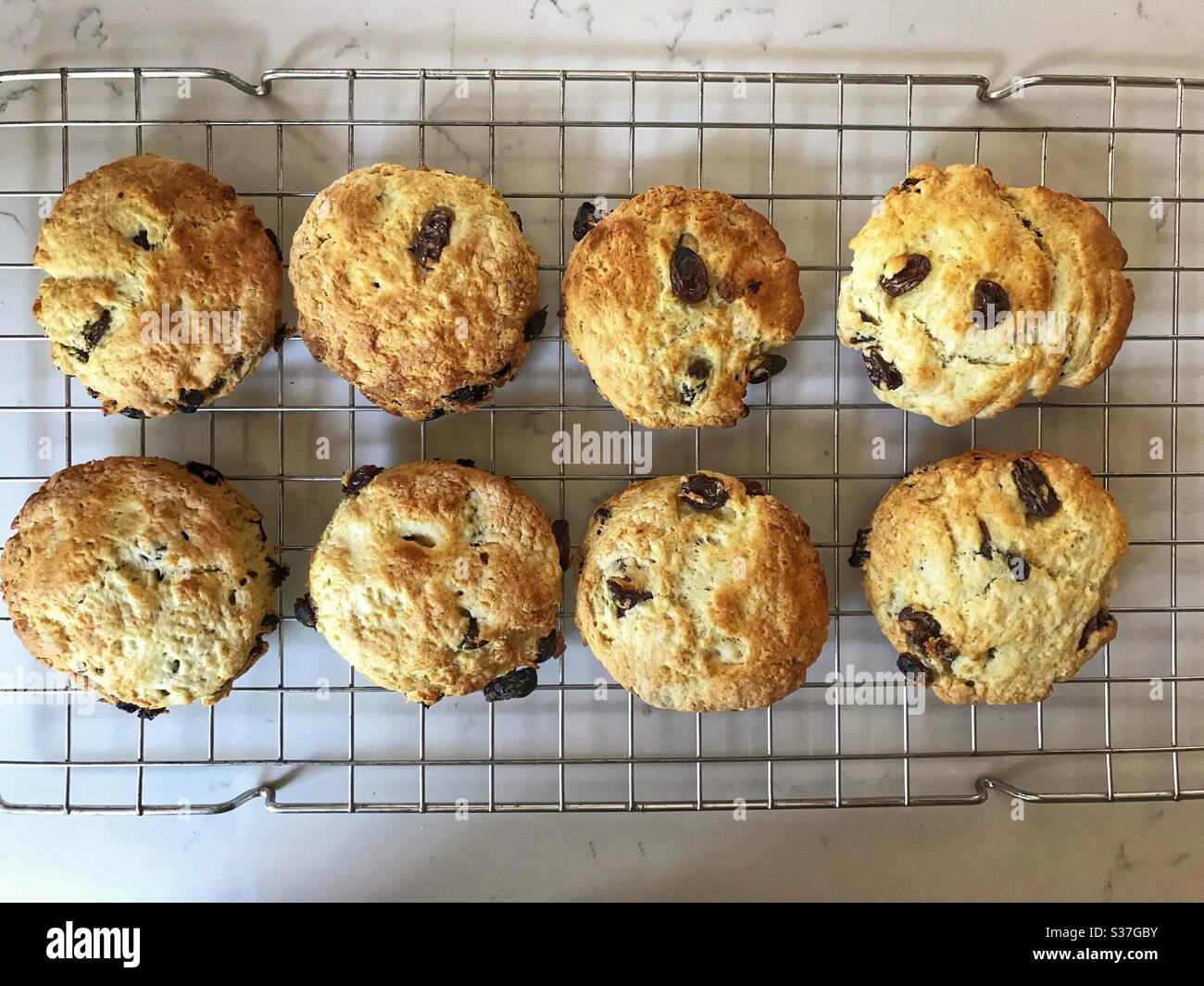 Freshly baked fruit scones cooling on a wire rack - Smartphone Captured Stock Image