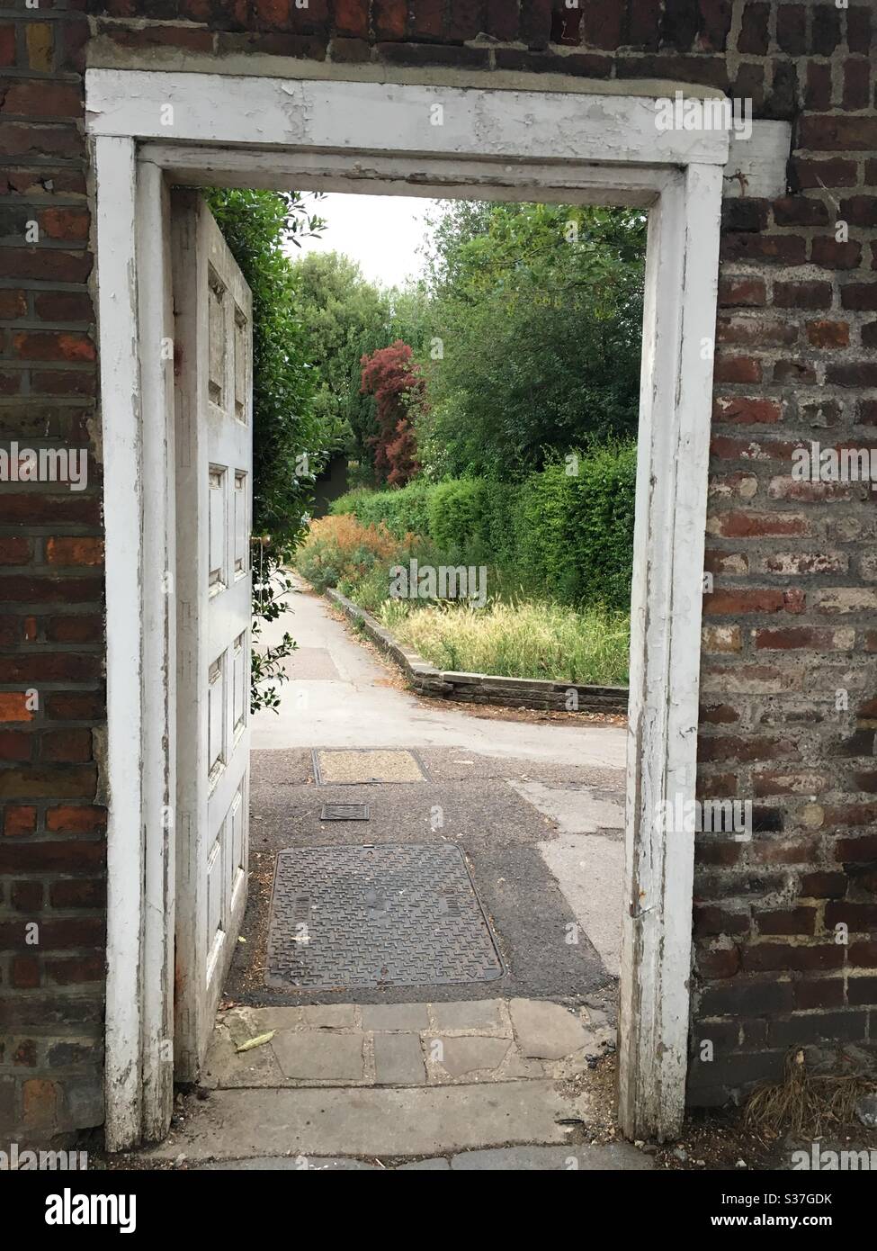 View of park through doorway - Smartphone Captured Stock Image