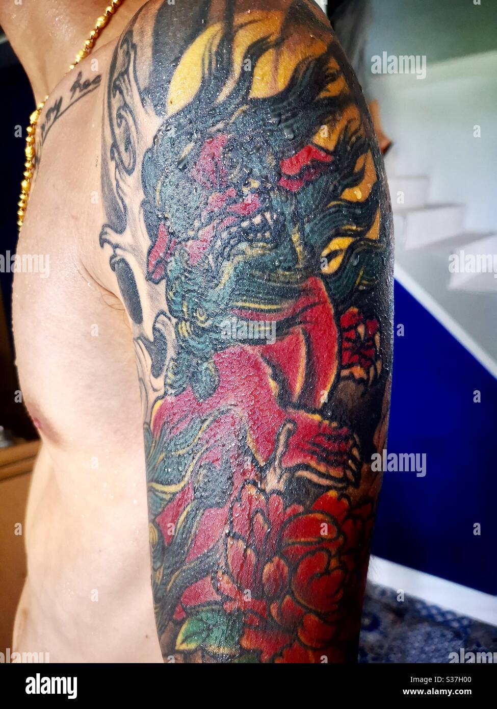 Sleeve tattoo Chinese dragon Drawing dragon tattoo dragon png  PNGEgg