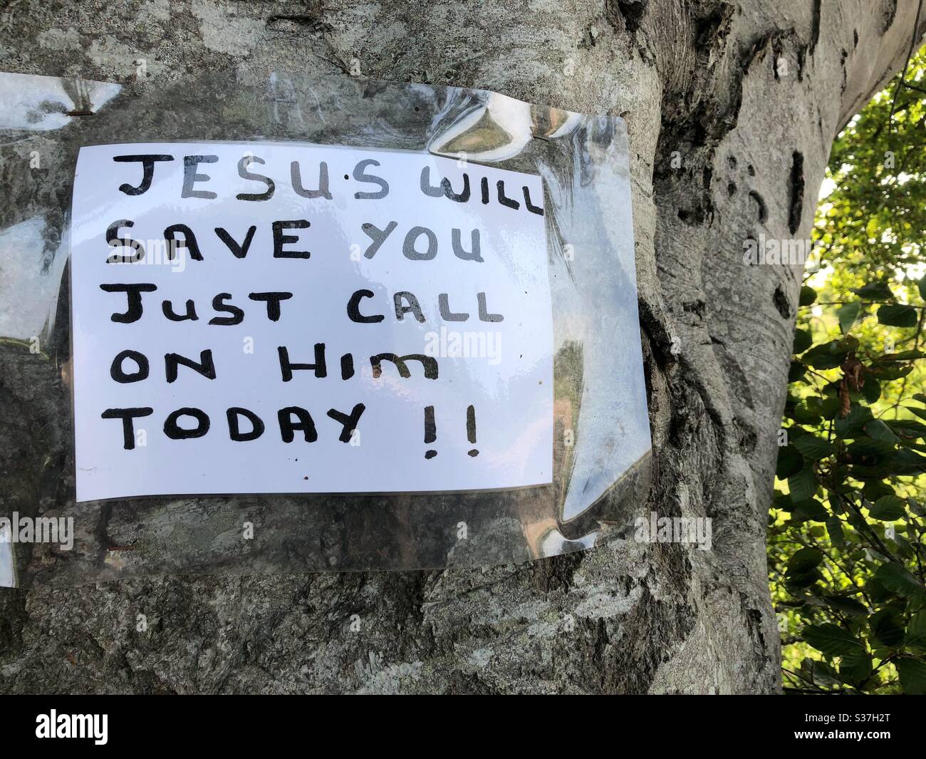 Evangelical Christian message left on tree near Cullybackey in Northern Ireland. Stock Photo