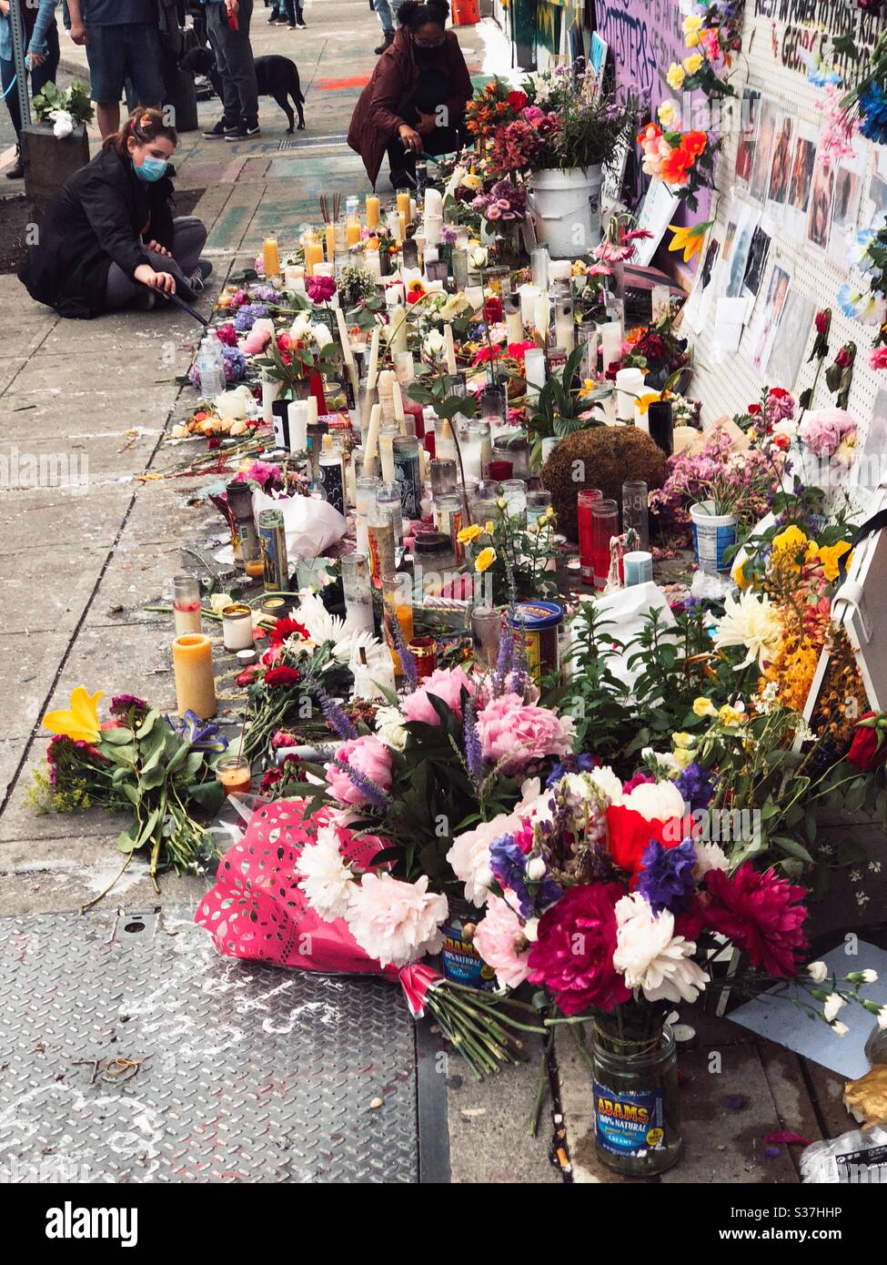 Flowers and candles at makeshift George Floyd memorial wall in CHOP CHAZ autonomous zone on Capitol Hill in Seattle, june 2020 Stock Photo