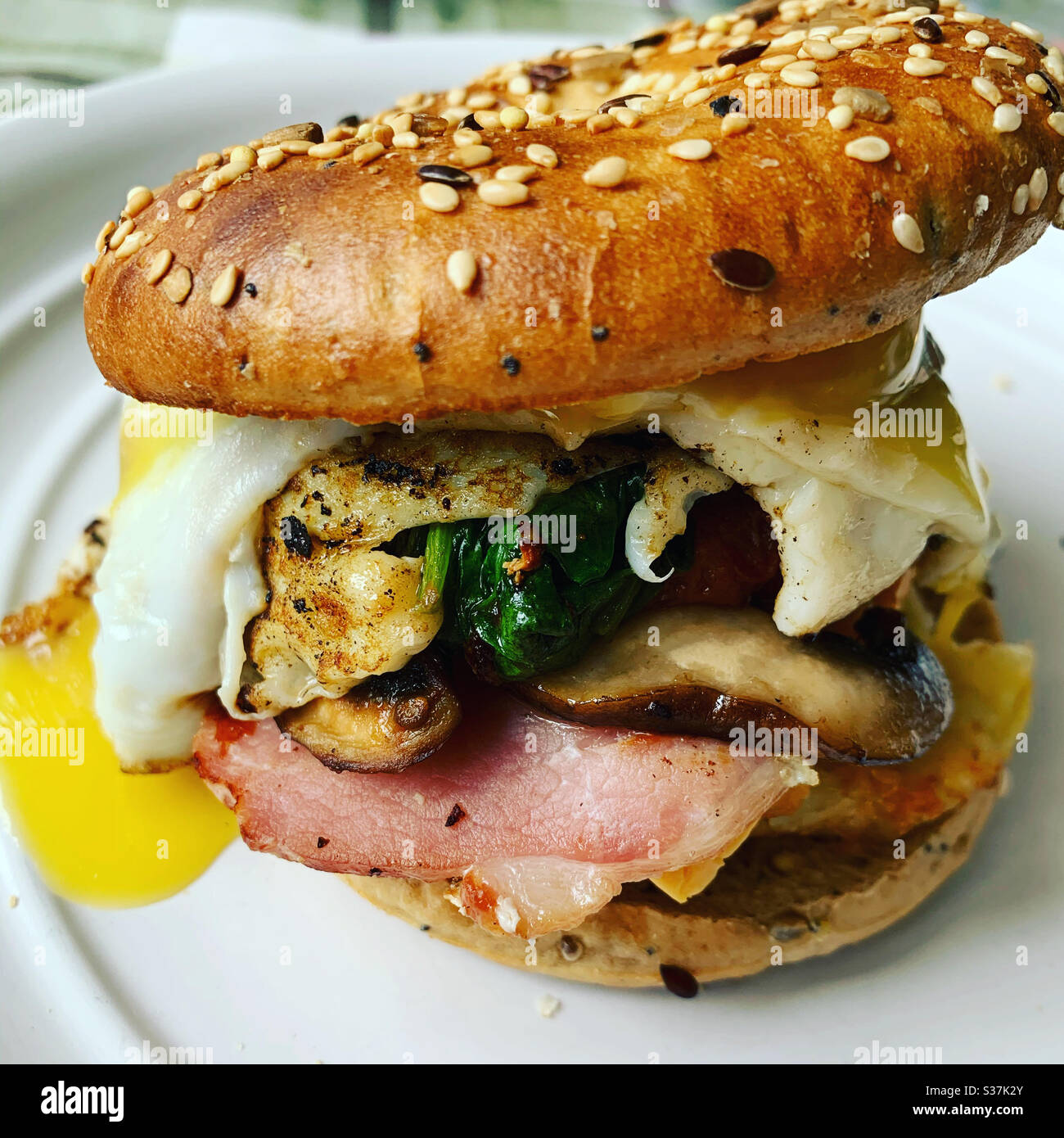 Warburtons protein bagel hires stock photography and images Alamy