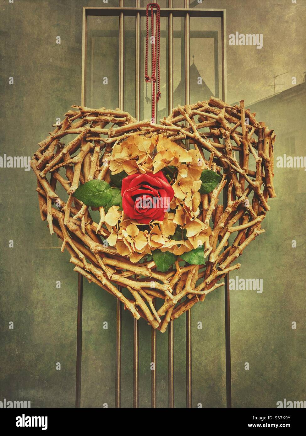 Heart shaped wreath with red rose - Smartphone Captured Stock Image