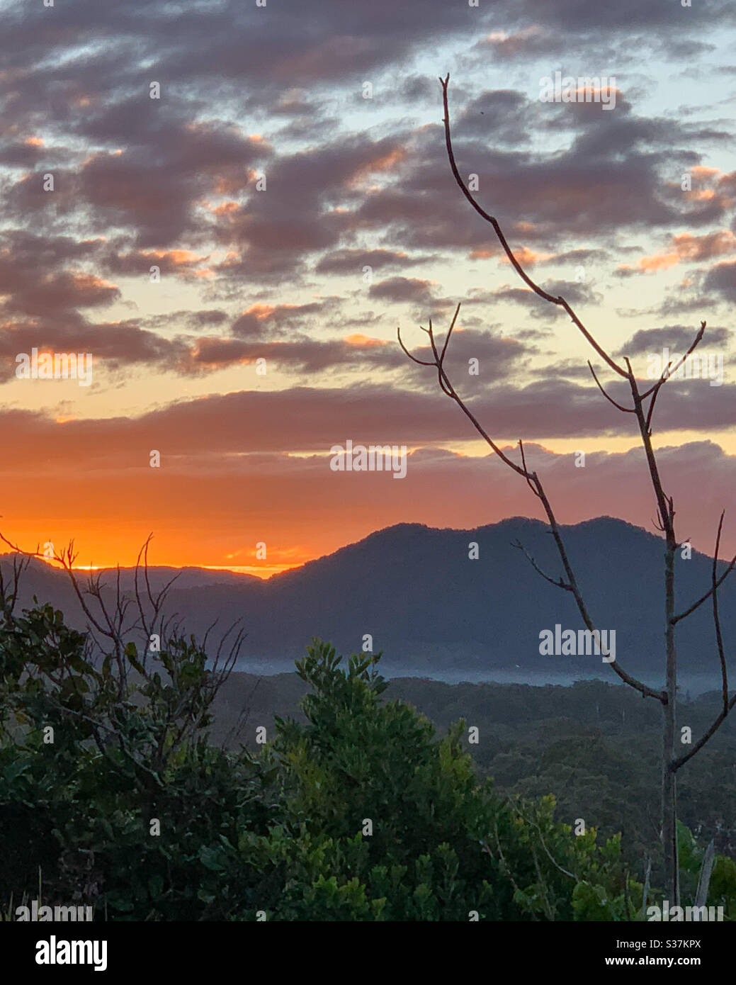 The burnt orange sky of a Winter sunset in Oz. Sundown - Smartphone Captured Stock Image