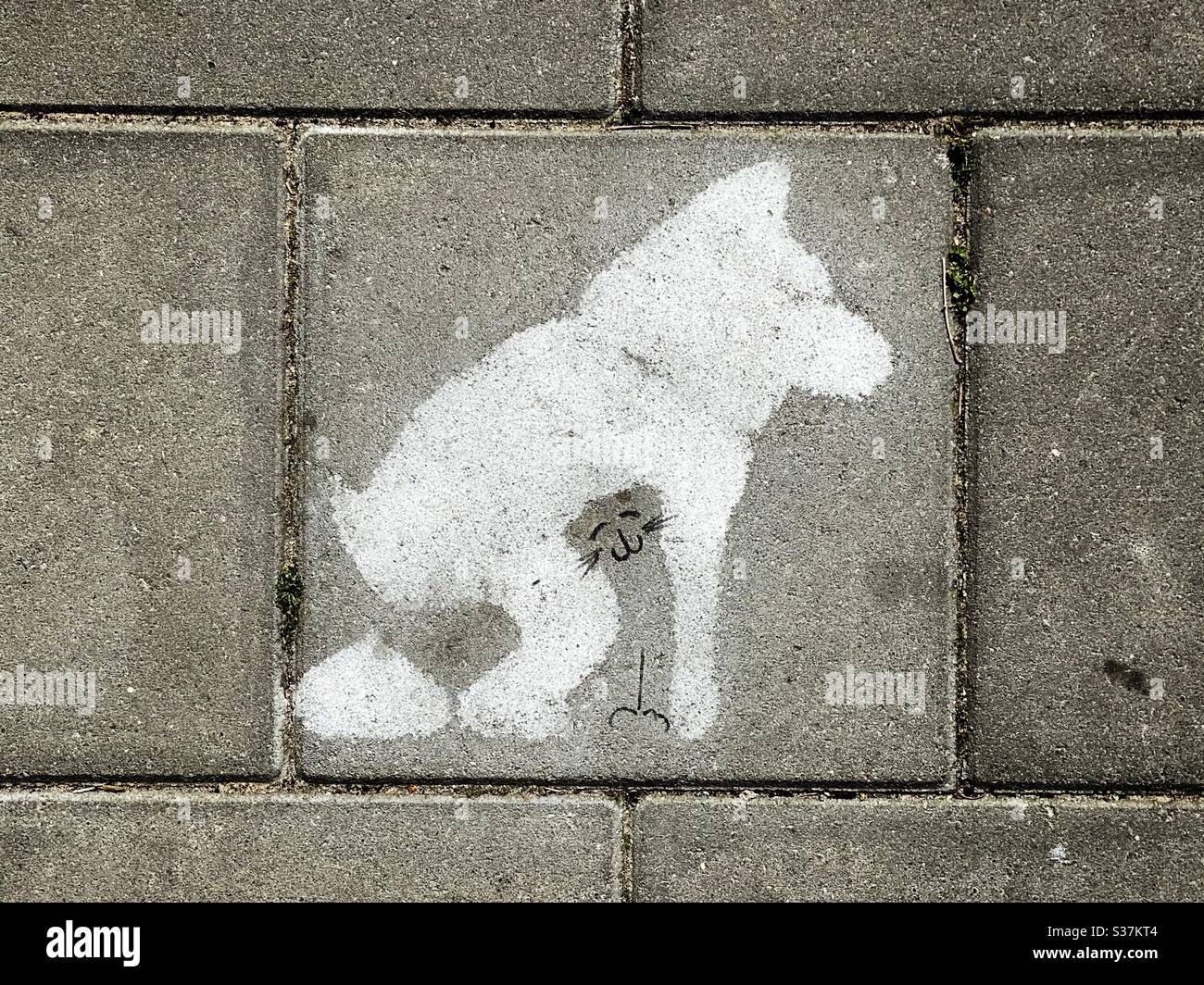 Sidewalk drawing of a pooping dog with a hidden cat Stock Photo Alamy
