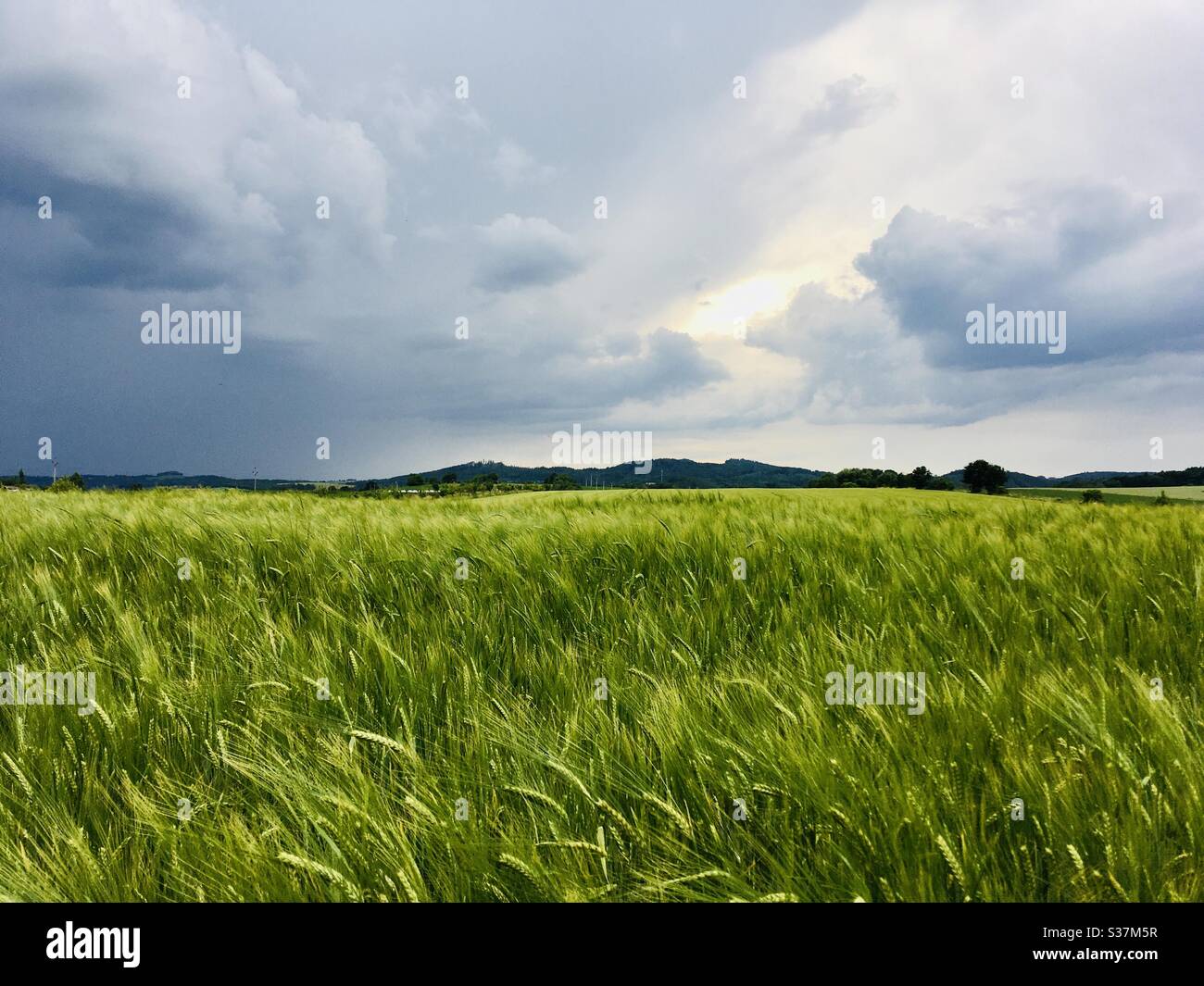 Z Vlčaku - Smartphone Captured Stock Image