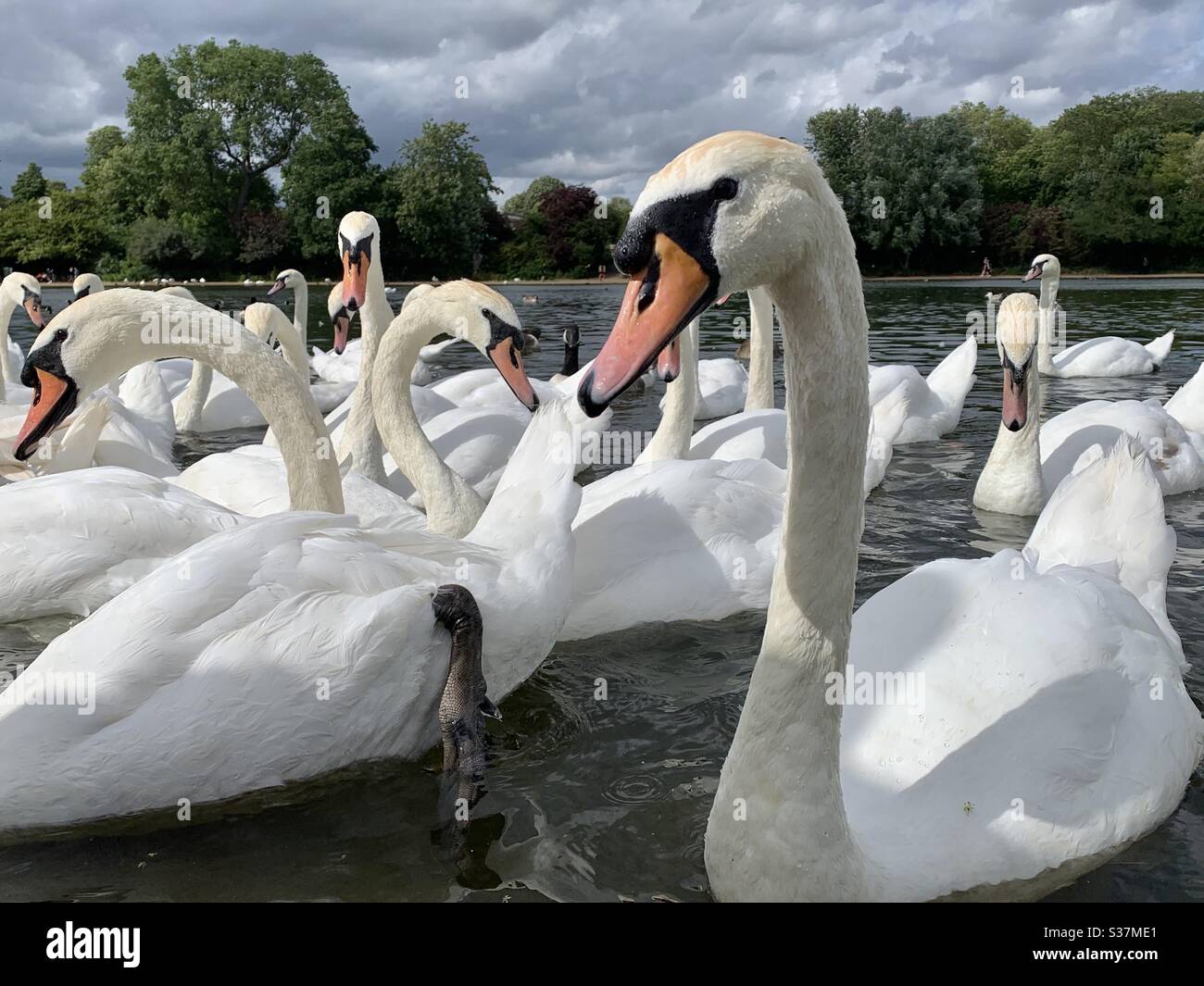 London - Smartphone Captured Stock Image