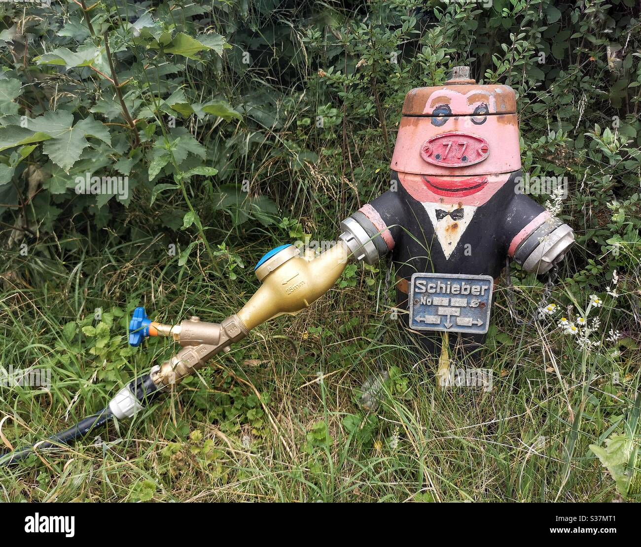 Fire hydrant painted with man’s face Stock Photo