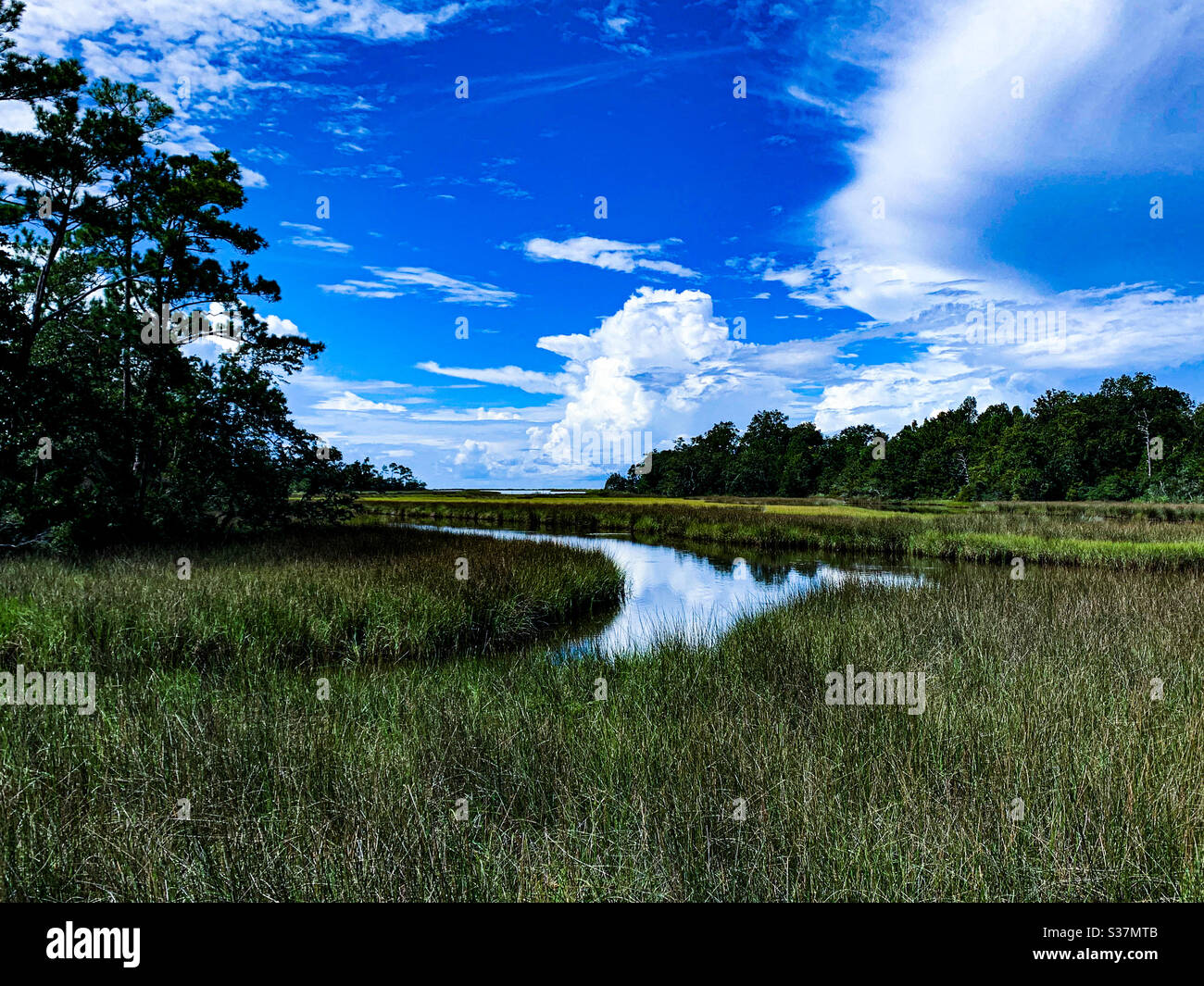 Mississippi bayou hires stock photography and images Alamy