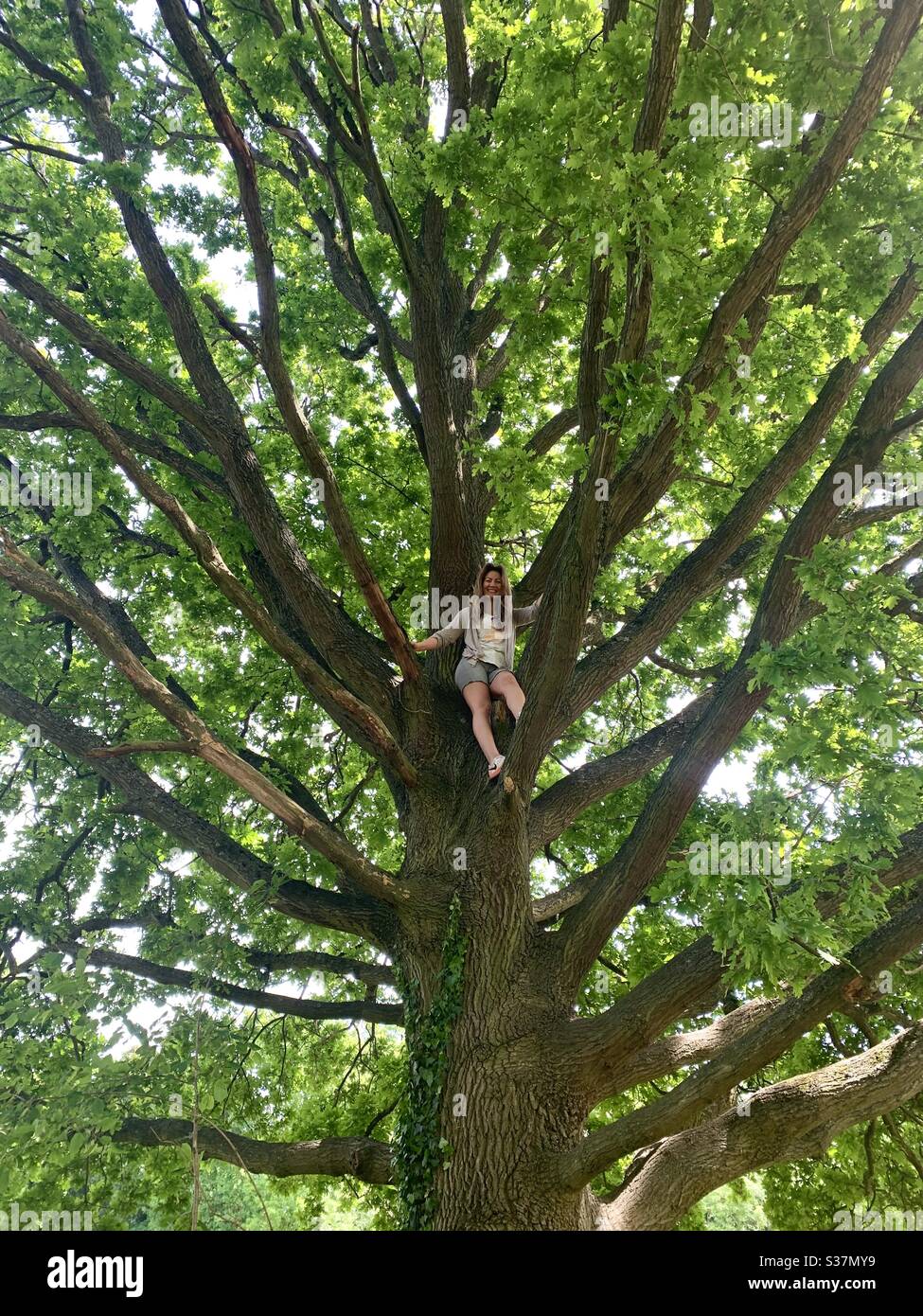 Girl in oak tree Stock Photo