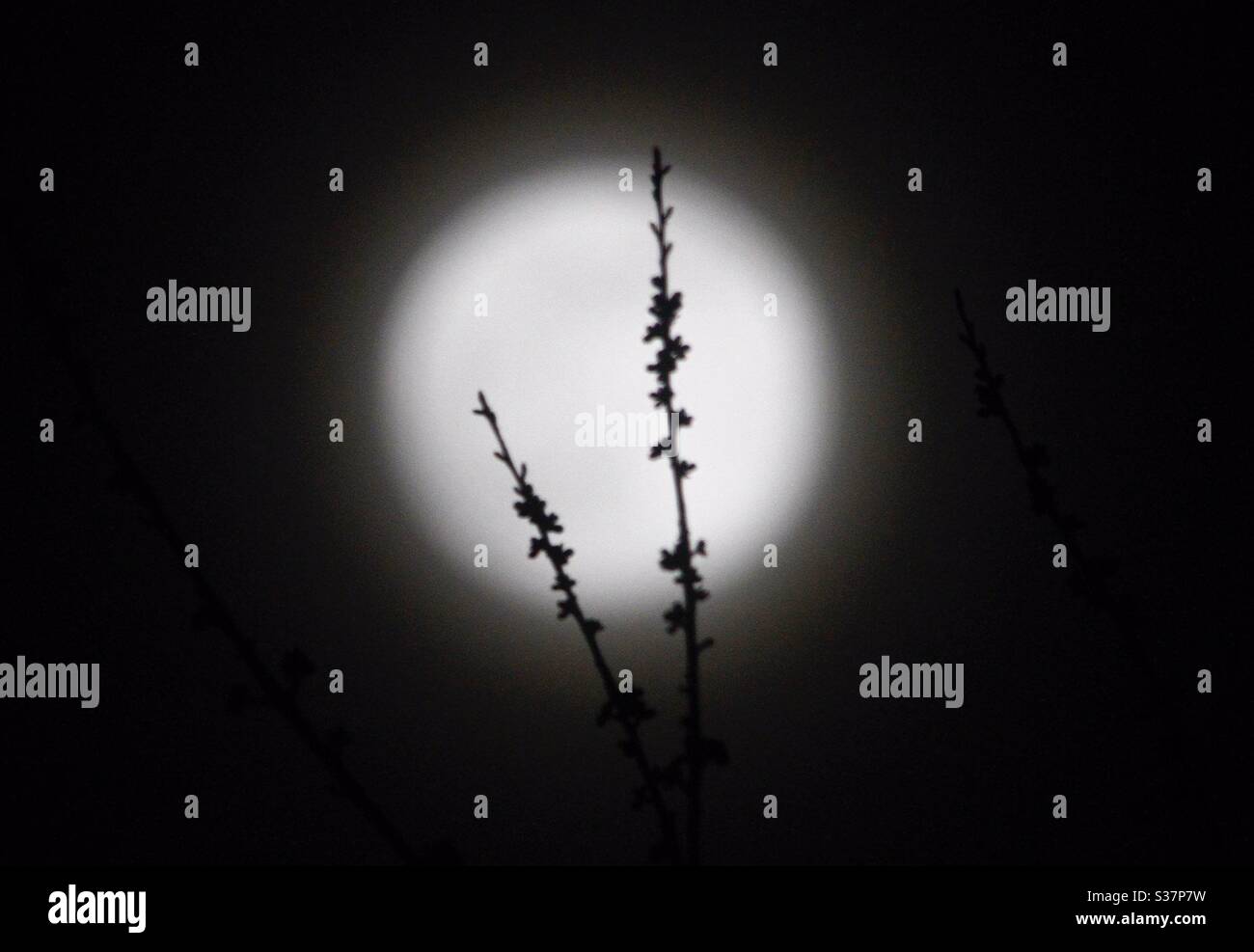 Supermoon uk - Smartphone Captured Stock Image