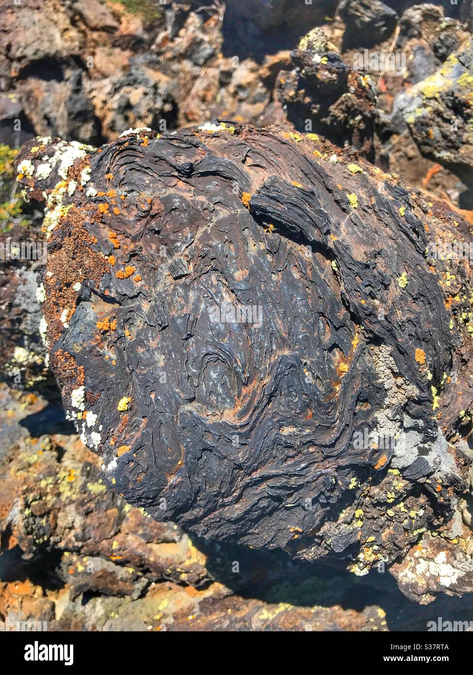 Cooled lava rock in the Craters of the Moon National Monument in Idaho. Stock Photo