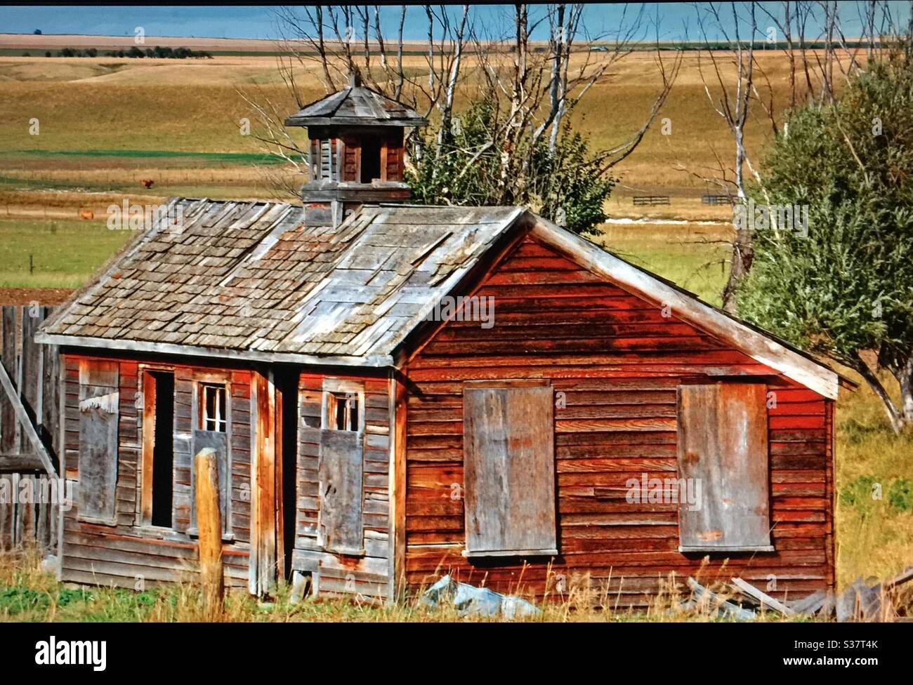 Alberta prairies, old house , shed,  arm, historic, chicken barn, Canada - Smartphone Captured Stock Image