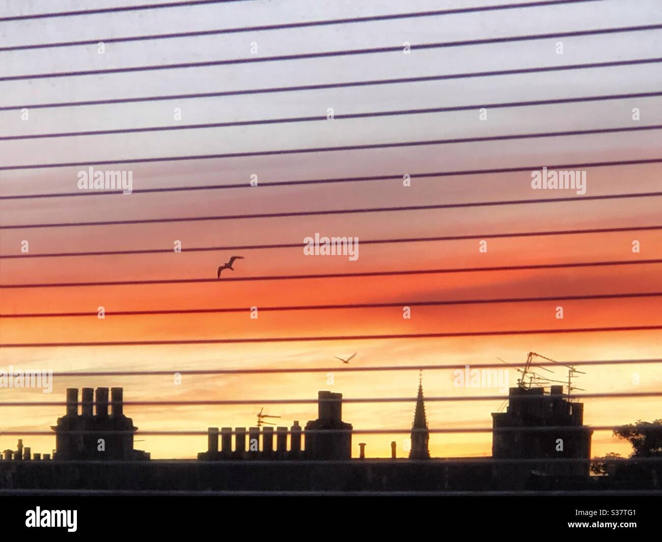Sunset over city rooftops through the Venetian blinds Stock Photo