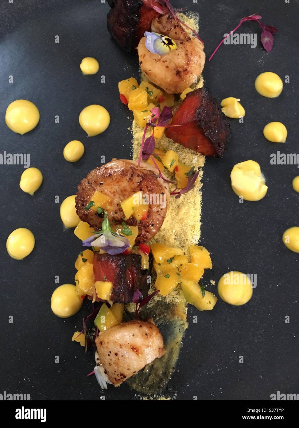 Posh colourful starter of scallops with roasted beetroot and polenta, served on a slate plate - brightly coloured. Delicious fine dining Stock Photo