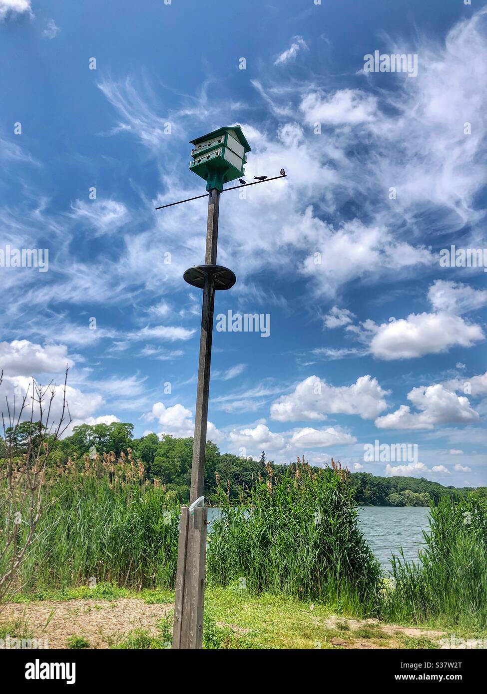 A tall bird feeder. Stock Photo