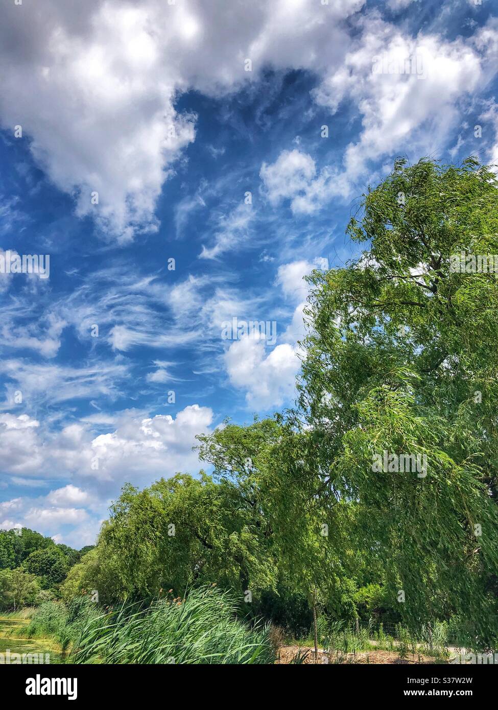 Nature’s beauty. Stock Photo