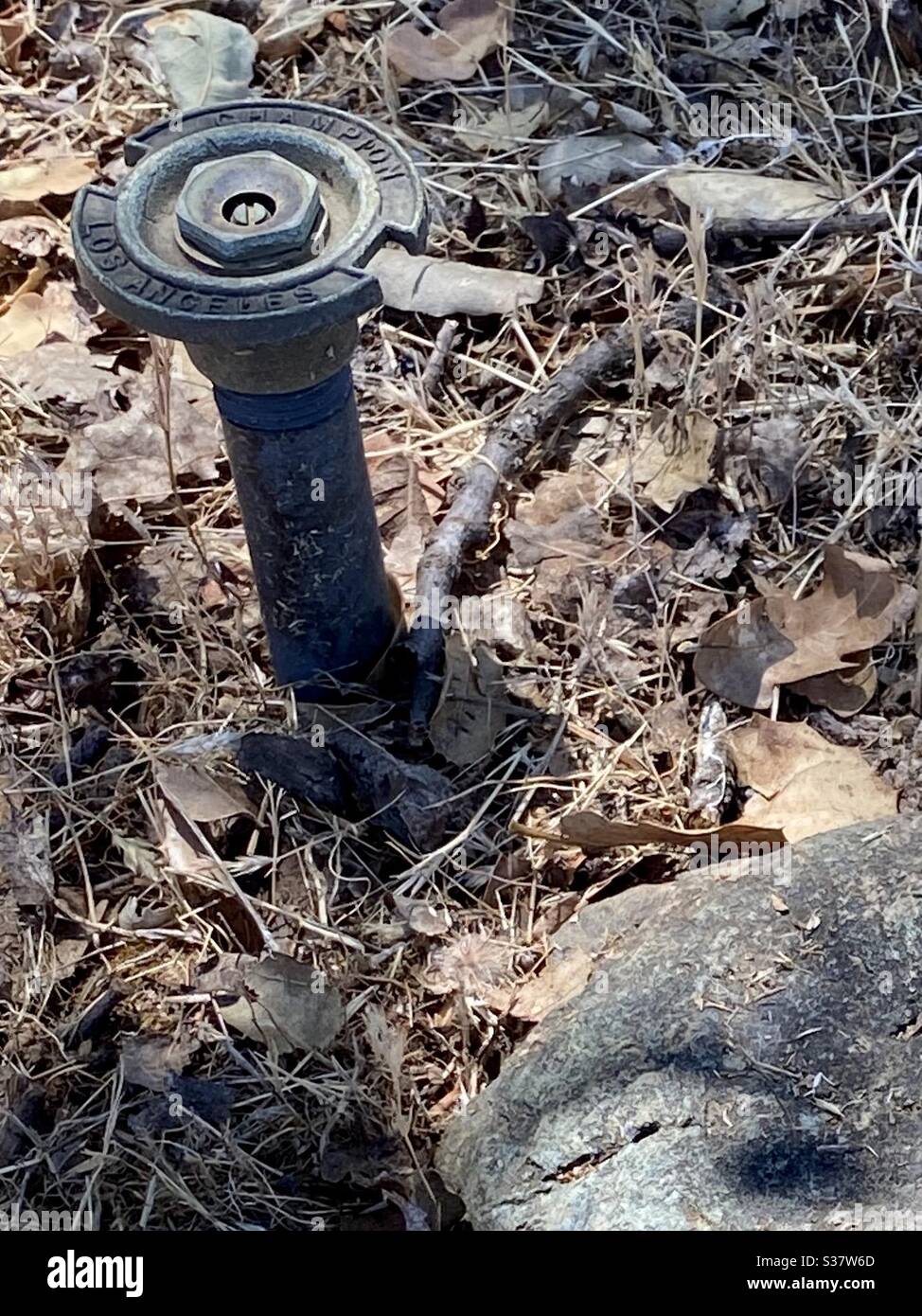 Vintage Champion Los Angeles sprinkler head in dry leaves Stock Photo