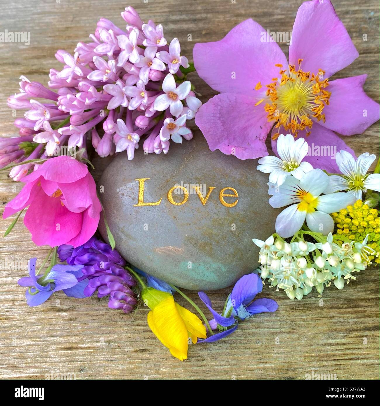 Flowers surrounding rock spelling love - Smartphone Captured Stock Image