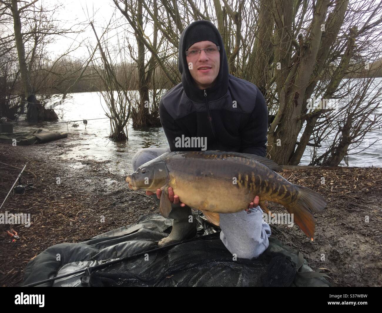 Mirror carp Stock Photo