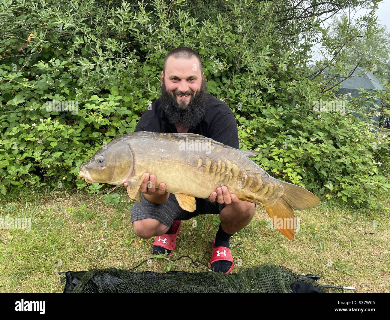 17lb mirror carp Stock Photo