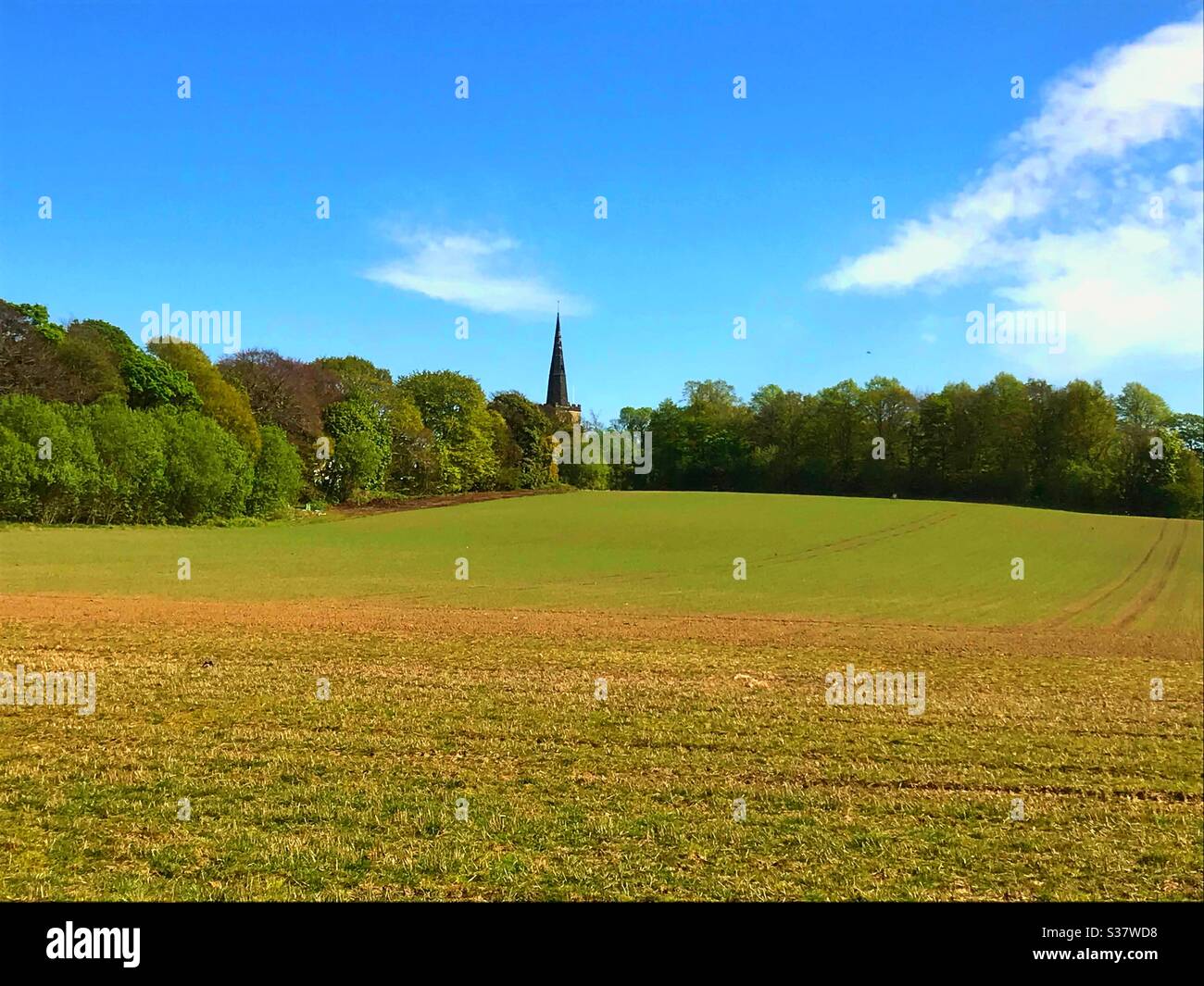 Picture of Saint Oswald’s church in Winwick Cheshire on a lovely spring