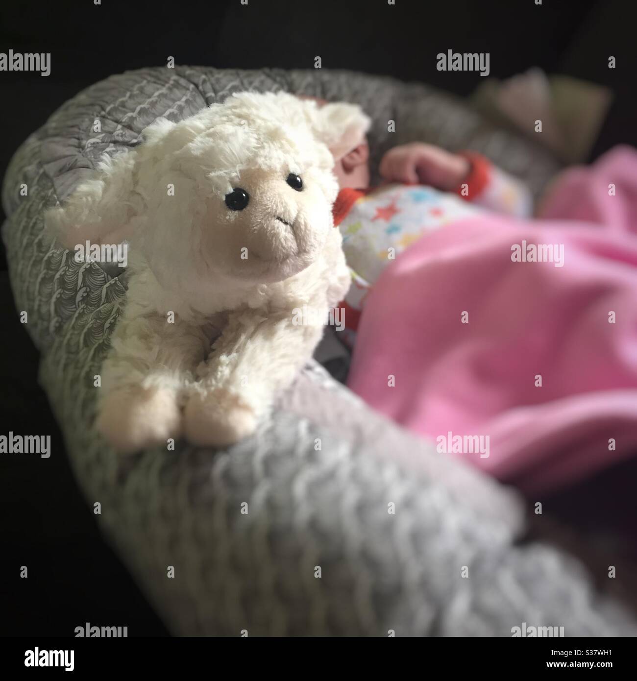 Sleeping child whith  a sheep ish companion Stock Photo