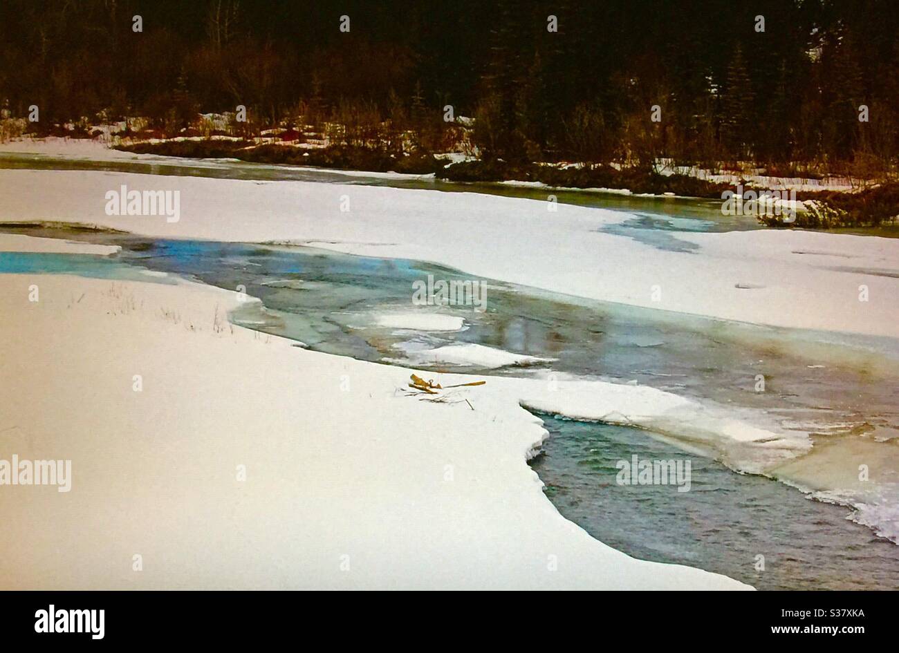 Winter view, Elbow River, Alberta, Canada, near Calgary. - Smartphone Captured Stock Image