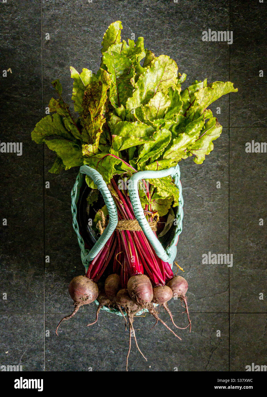 Bunch of baby beetroot plants with leaves in basket after harvesting - Smartphone Captured Stock Image