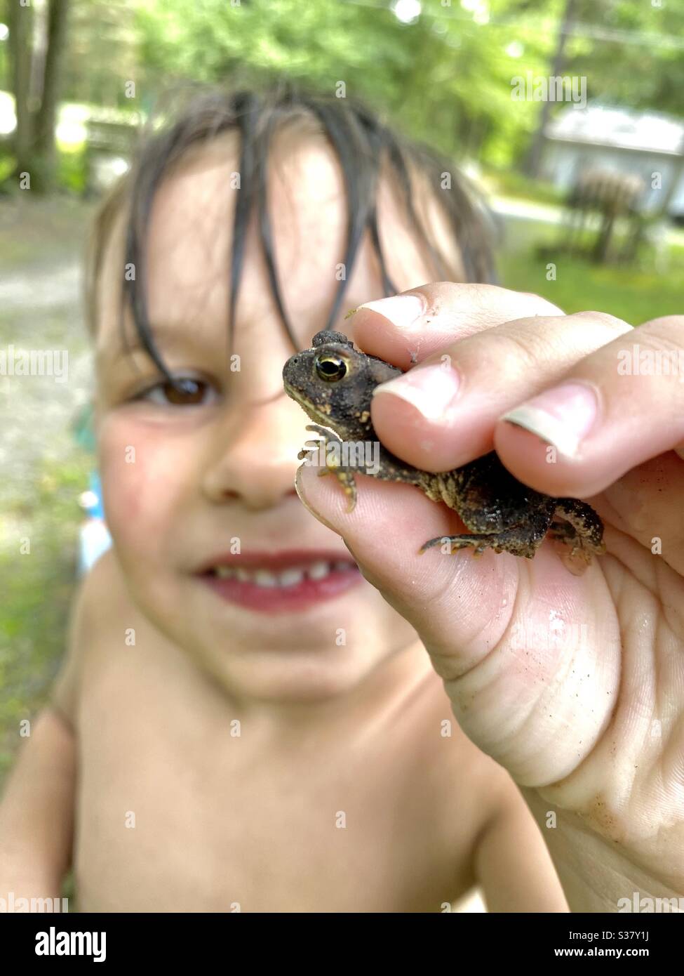 Little boy with frog Stock Photo