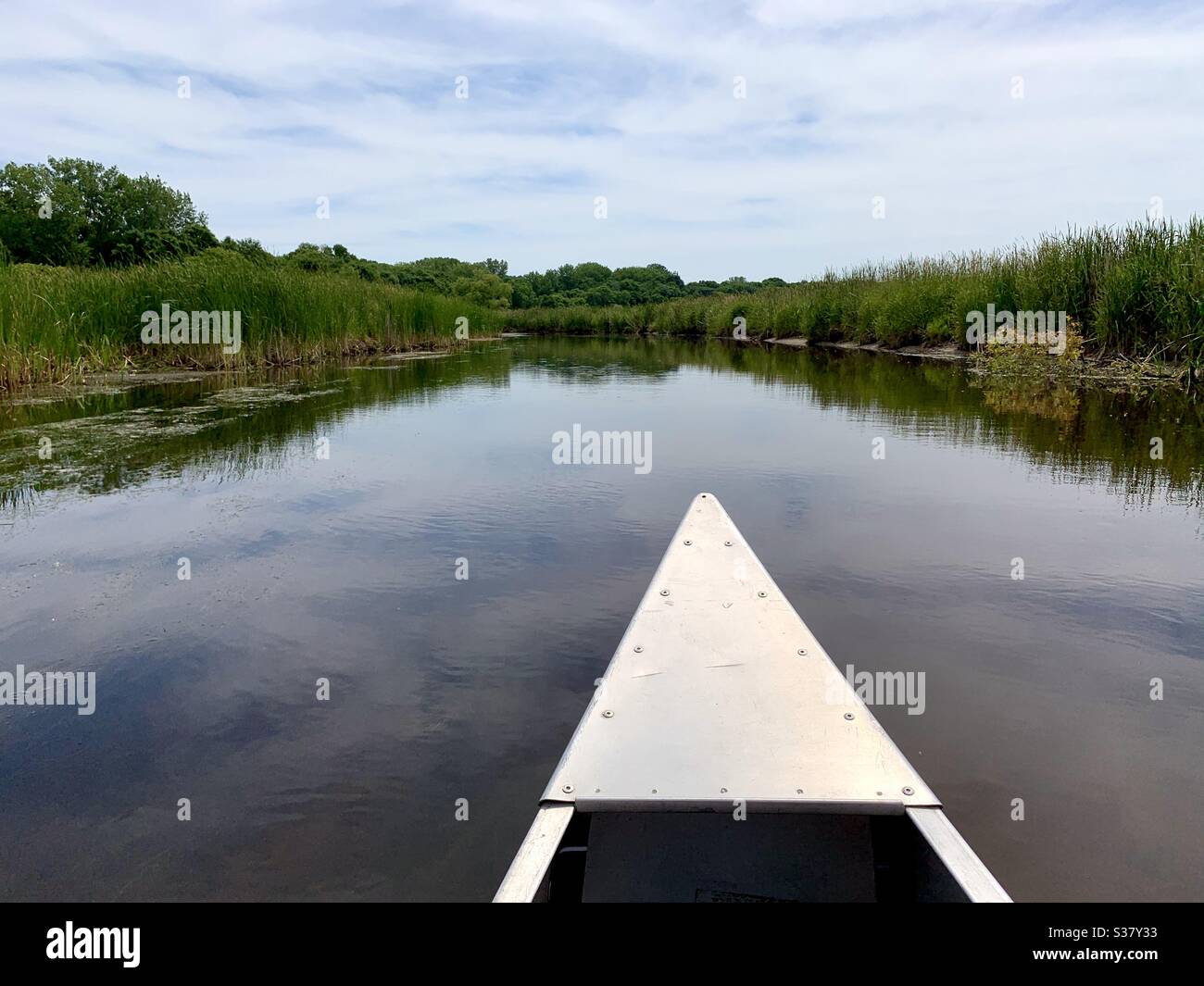 Canoeing on the creek Stock Photo