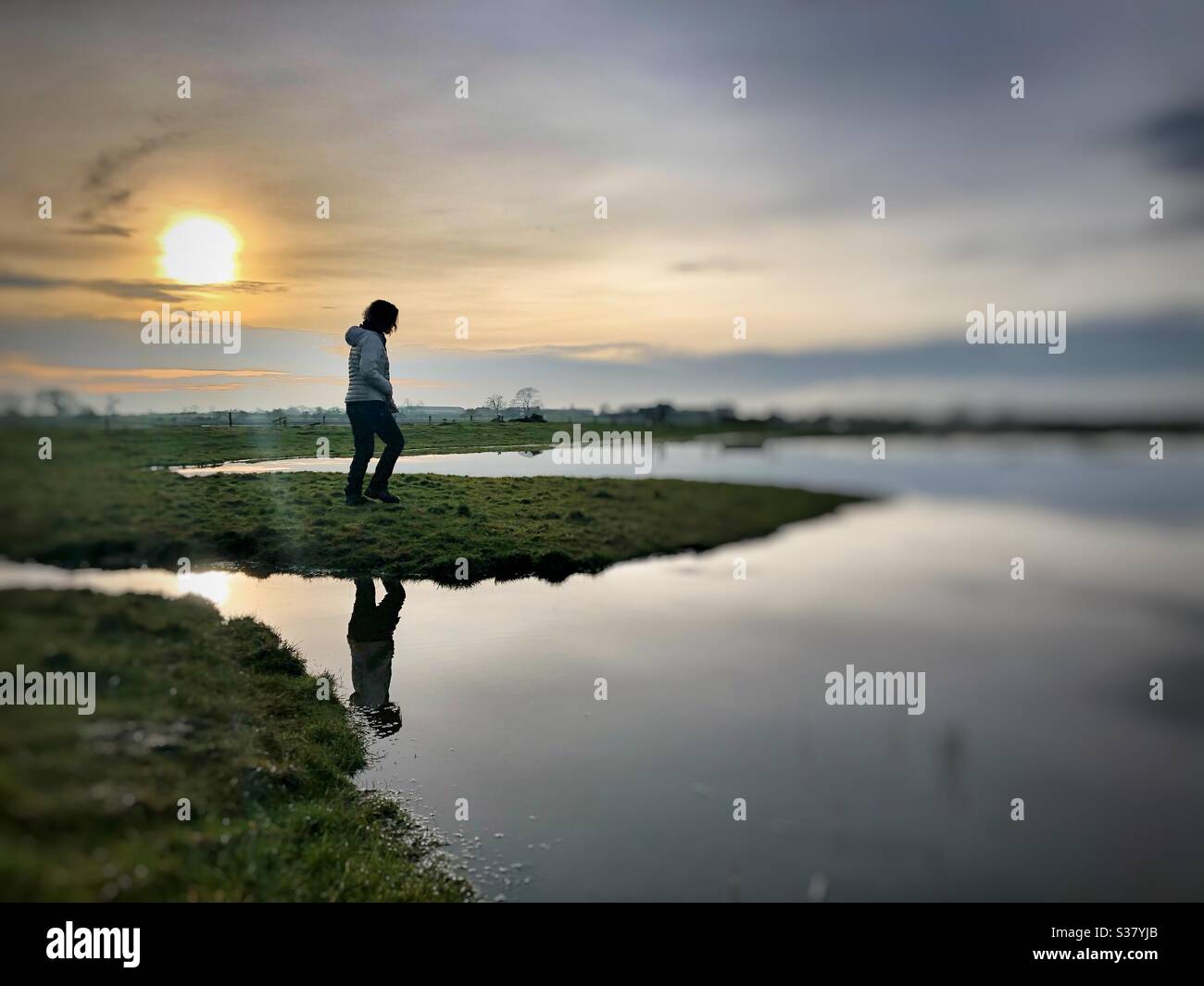 Reflections on an evening walk - Smartphone Captured Stock Image