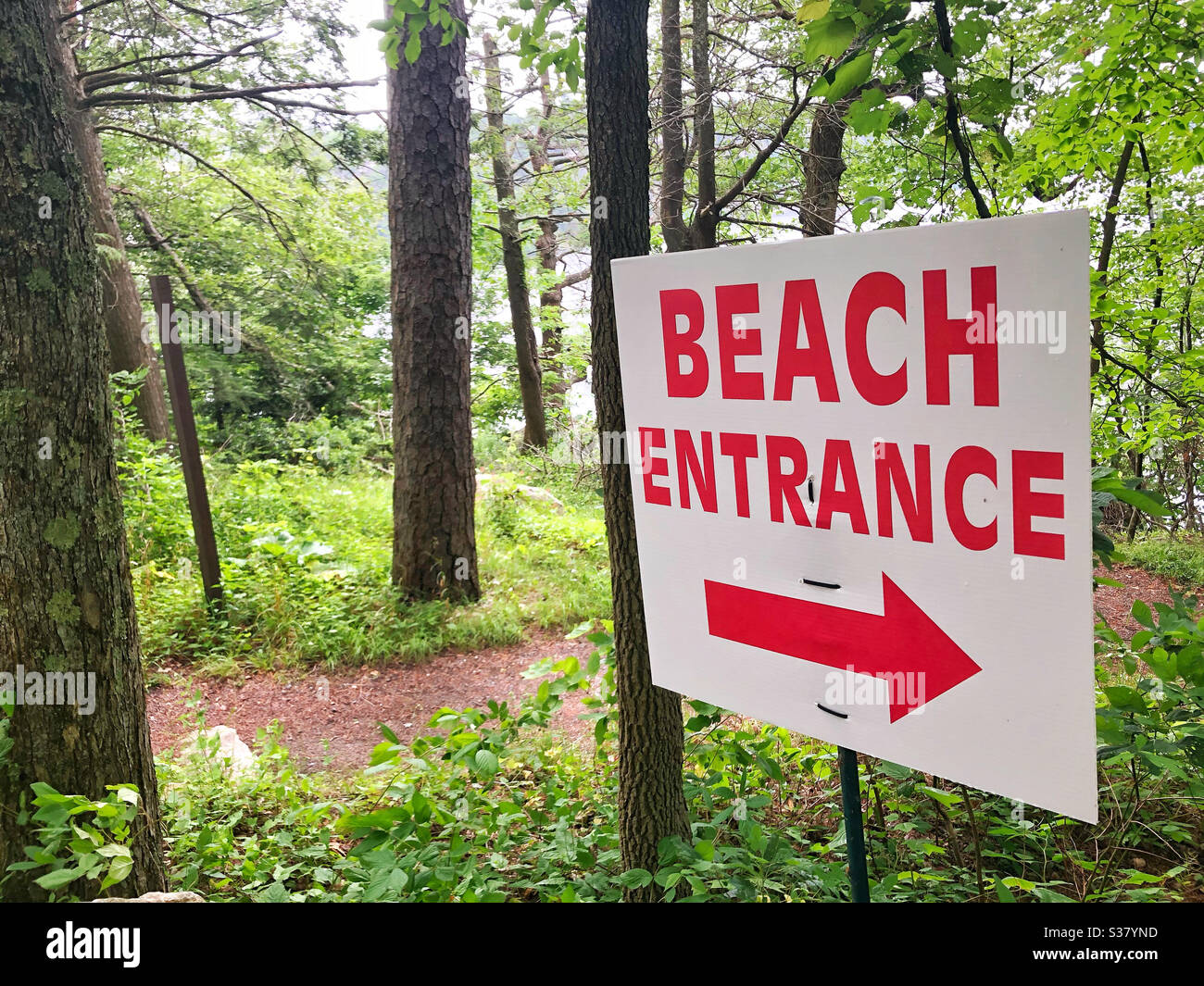 Sign directing swimmers and sunbathers to beach entrance - Smartphone Captured Stock Image