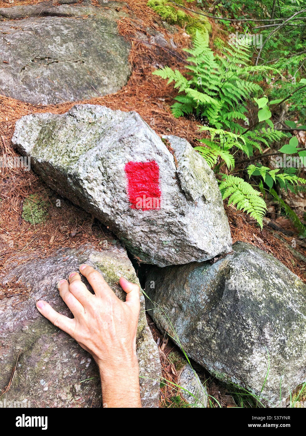 Red paint used to blaze trail on mountain-climbing scramble section of hike - Smartphone Captured Stock Image