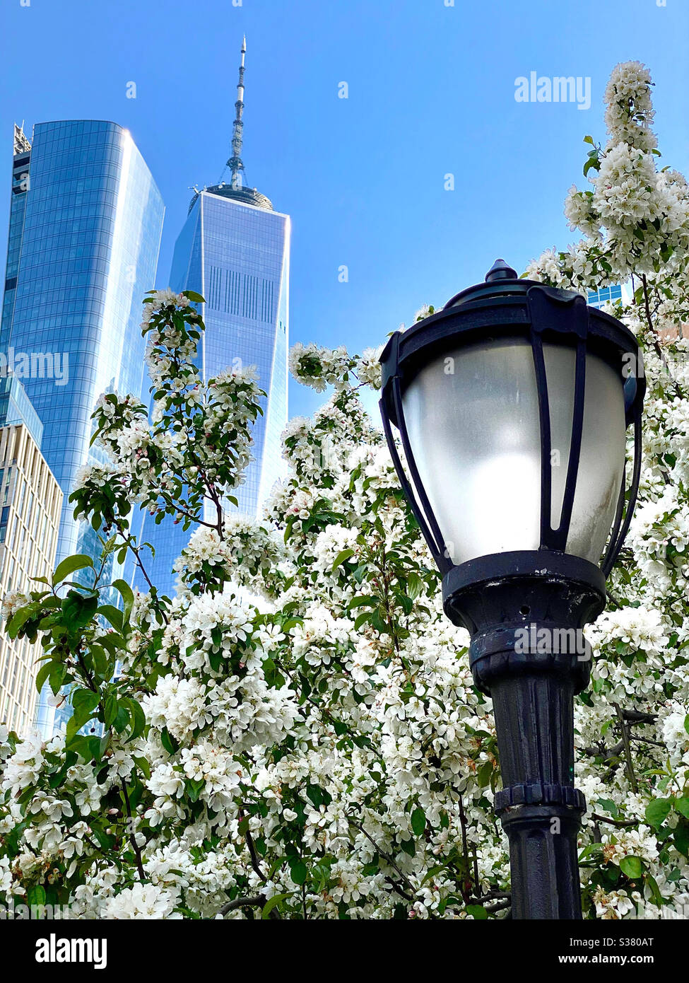 Street  view of the Freedom tower in New York City from Riverside Park at spring time. - Smartphone Captured Stock Image