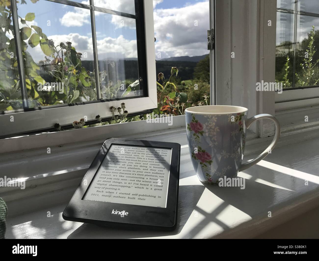 A relaxing tea break - Smartphone Captured Stock Image