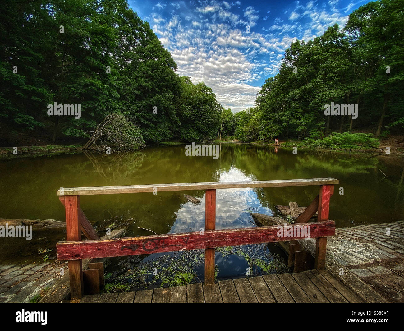 Pond in Goodhue Park, Staten Island Stock Photo Alamy