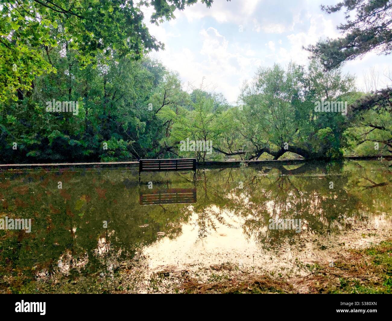 Flooding in High Park after a storm. - Smartphone Captured Stock Image