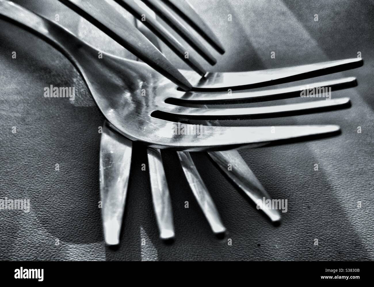 Macro Photography- Fork - Smartphone Captured Stock Image
