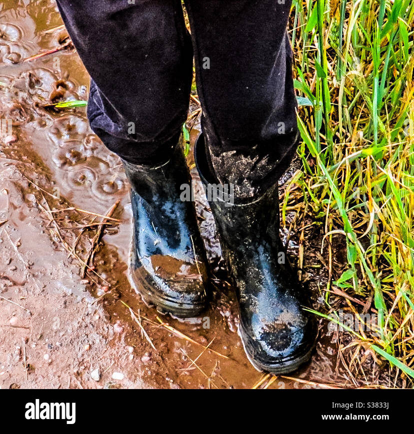 Countryside walks - Smartphone Captured Stock Image