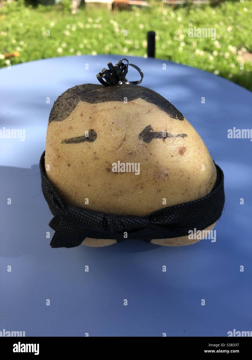 Mr Potato Head Sumo Wrestler Stock Photo