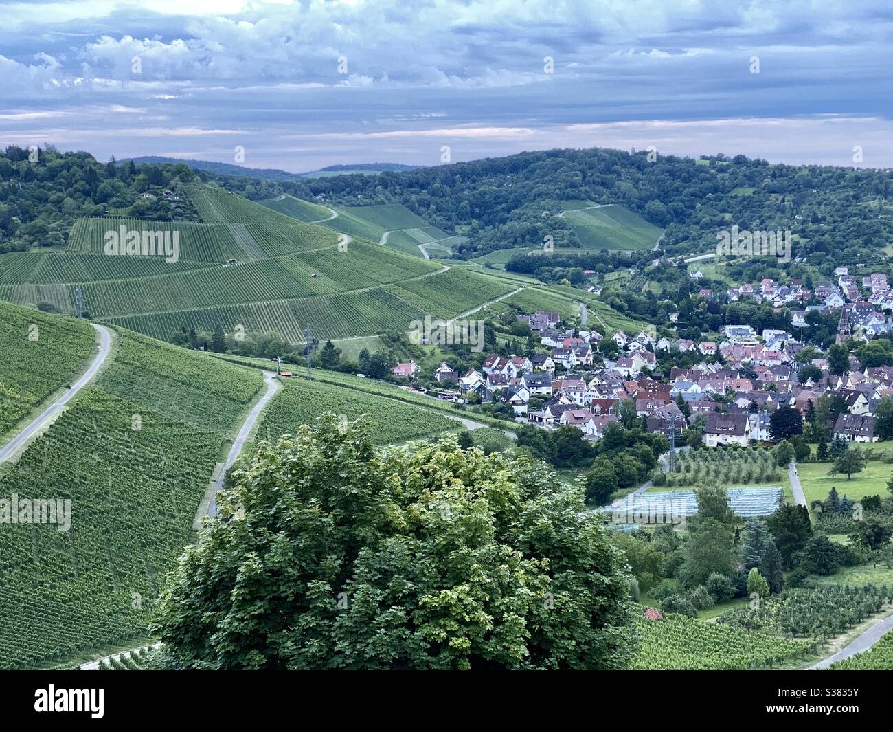 Stuttgart greenery hi-res stock photography and images - Alamy